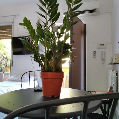 Studio Garden Center Special Place For Digital Nomad More Less Pay Contact Us 0 0 3 9 3 4 9 1 0 2 6 1 6 1 Apartment Taormina